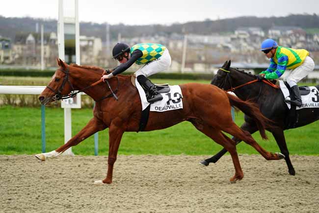 Photo d'arrivée de la course pmu PRIX DU CAP DE LA HEVE à DEAUVILLE le Vendredi 28 février 2020