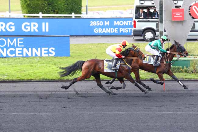 Photo d'arrivée de la course pmu PRIX LOUIS LE BOURG à PARIS-VINCENNES le Samedi 29 février 2020
