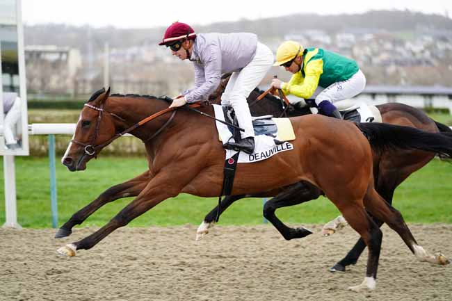 Photo d'arrivée de la course pmu PRIX DE CARENTAN à DEAUVILLE le Samedi 29 février 2020