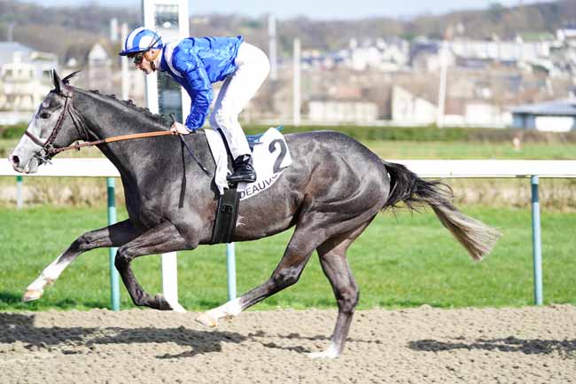 Photo d'arrivée de la course pmu PRIX DU VAUDREUIL à DEAUVILLE le Samedi 29 février 2020