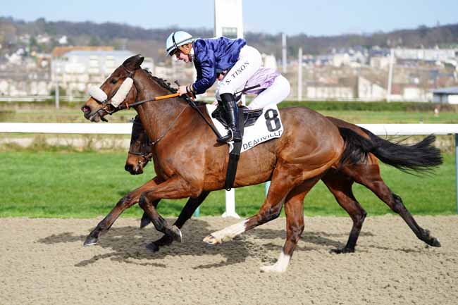 Photo d'arrivée de la course pmu PRIX DES AIGUILLES à DEAUVILLE le Samedi 29 février 2020