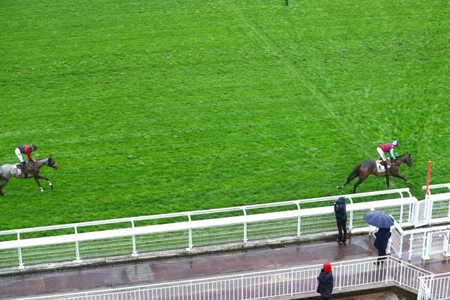 Photo d'arrivée de la course pmu PRIX JUIGNE à AUTEUIL le Dimanche 1 mars 2020