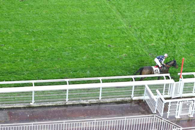 Photo d'arrivée de la course pmu PRIX SOUVIENS-TOI à AUTEUIL le Dimanche 1 mars 2020