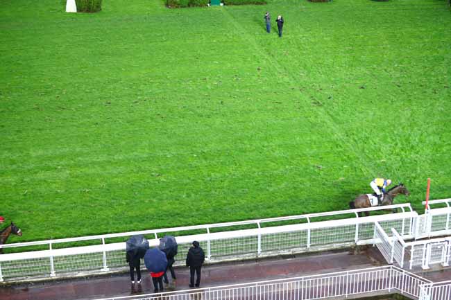 Photo d'arrivée de la course pmu PRIX ROHAN à AUTEUIL le Dimanche 1 mars 2020