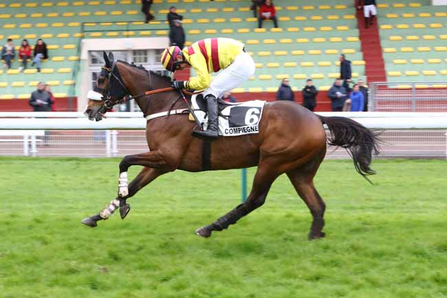 Photo d'arrivée de la course pmu PRIX FERNAND ROY à COMPIEGNE le Lundi 2 mars 2020