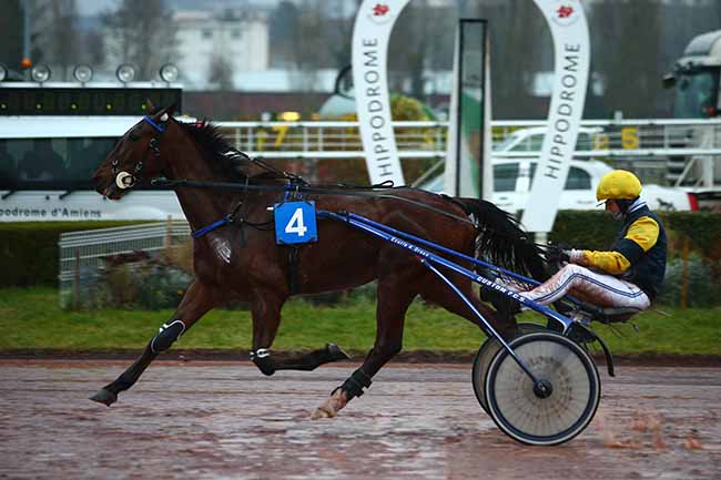 Photo d'arrivée de la course pmu PRIX DU POINT DE VENTE PMU LE BLASON à AMIENS le Mercredi 4 mars 2020