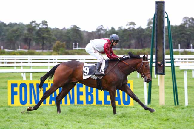 Photo d'arrivée de la course pmu PRIX DE LA DAME JOUANNE à FONTAINEBLEAU le Jeudi 5 mars 2020