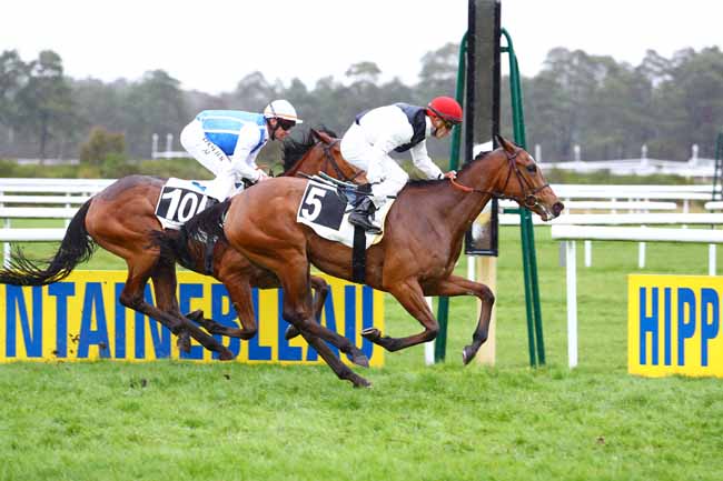 Photo d'arrivée de la course pmu PRIX DE FONTAINEBLEAU TOURISME à FONTAINEBLEAU le Jeudi 5 mars 2020