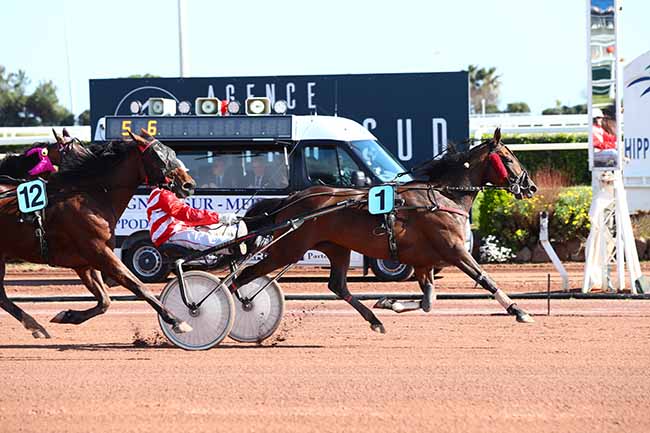 Photo d'arrivée de la course pmu PRIX DE LIVOURNE à CAGNES-SUR-MER le Dimanche 8 mars 2020