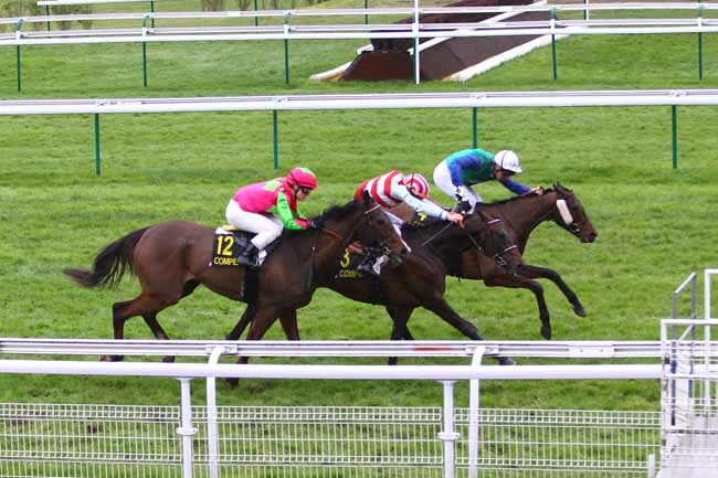 Photo d'arrivée de la course pmu PRIX DE LA FORET DE COMPIEGNE à COMPIEGNE le Dimanche 8 mars 2020