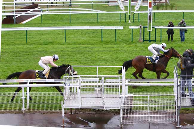 Photo d'arrivée de la course pmu PRIX DE L'AILETTE à COMPIEGNE le Dimanche 8 mars 2020