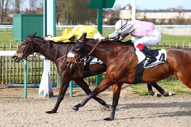 Photo d'arrivée de la course pmu PRIX DU BOIS DU MINISTRE à CHANTILLY le Lundi 9 mars 2020