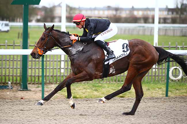 Photo d'arrivée de la course pmu PRIX DU CHENE POUILLEUX à CHANTILLY le Mardi 10 mars 2020