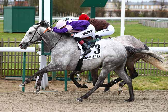 Photo d'arrivée de la course pmu PRIX DU BAT L'EAU à CHANTILLY le Mardi 10 mars 2020
