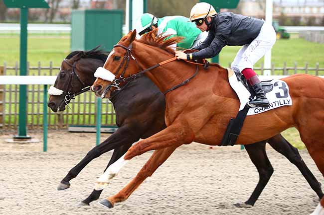 Photo d'arrivée de la course pmu PRIX DU HARAS AU BOIS à CHANTILLY le Mardi 10 mars 2020