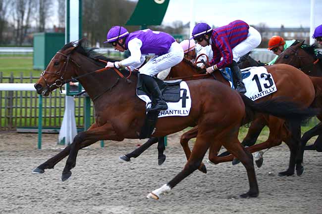 Photo d'arrivée de la course pmu PRIX ESSO à CHANTILLY le Mardi 10 mars 2020
