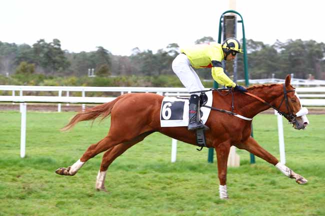 Photo d'arrivée de la course pmu PRIX COLONEL LAPADU-HARGUES à FONTAINEBLEAU le Mardi 10 mars 2020