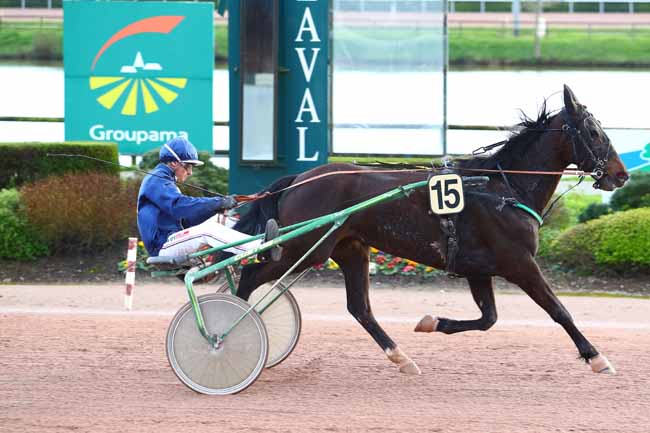 Photo d'arrivée de la course pmu PRIX FRANCE BLEU MAYENNE à LAVAL le Mercredi 11 mars 2020