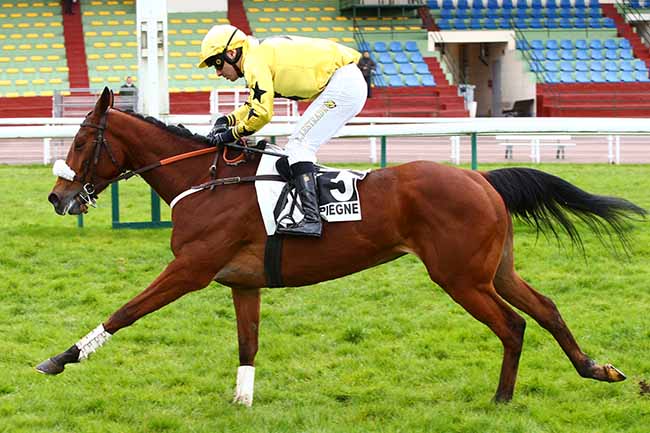 Photo d'arrivée de la course pmu PRIX DU COMMANDANT BOSSUT à COMPIEGNE le Mercredi 11 mars 2020