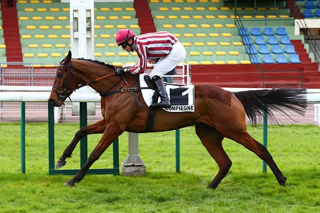 Photo d'arrivée de la course pmu PRIX MASTER BOB à COMPIEGNE le Mercredi 11 mars 2020