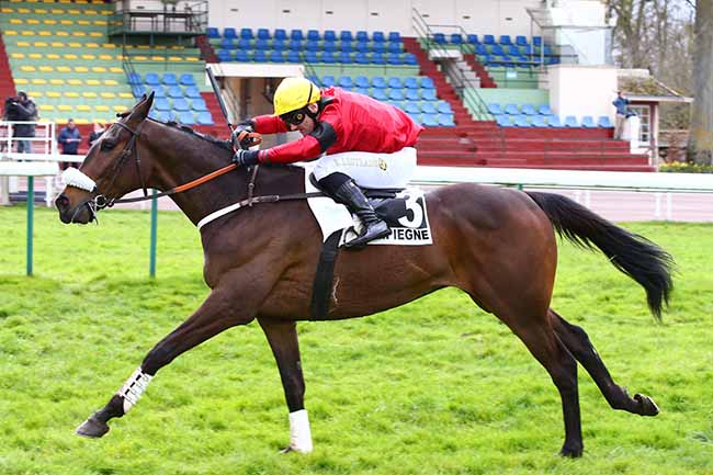 Photo d'arrivée de la course pmu PRIX SOLITAIRE à COMPIEGNE le Mercredi 11 mars 2020