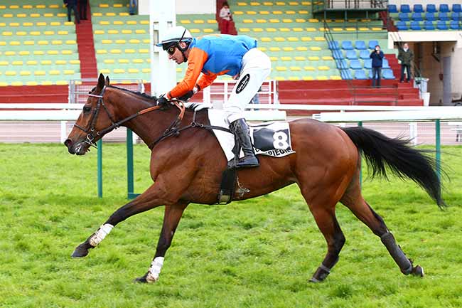 Photo d'arrivée de la course pmu PRIX BEAUTE DE COUR à COMPIEGNE le Mercredi 11 mars 2020