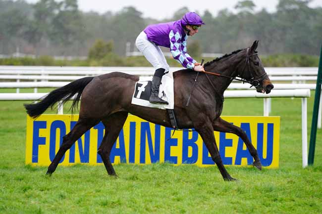 Photo d'arrivée de la course pmu PRIX DE SAMOREAU à FONTAINEBLEAU le Jeudi 12 mars 2020