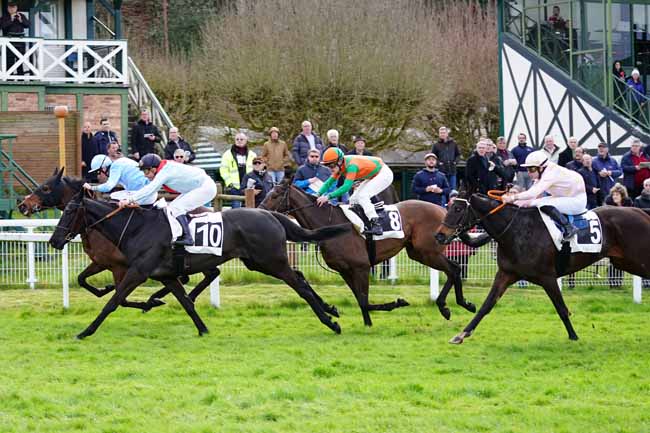Photo d'arrivée de la course pmu PRIX DU BOIS DE LA COMMANDERIE à FONTAINEBLEAU le Jeudi 12 mars 2020