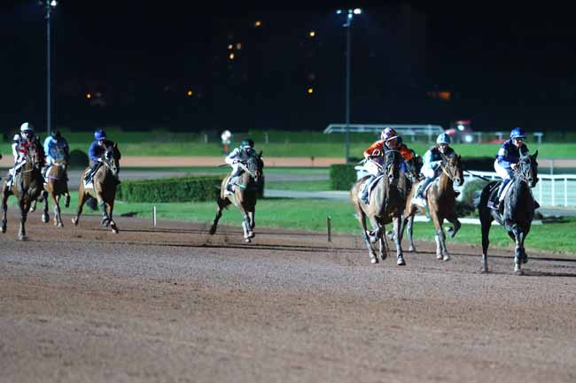 Photo d'arrivée de la course pmu PRIX DE FENAIN à ENGHIEN le Vendredi 13 mars 2020