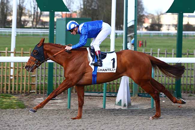 Photo d'arrivée de la course pmu PRIX TANDEM à CHANTILLY le Vendredi 13 mars 2020