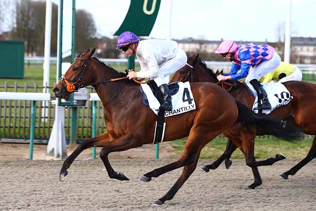 Photo d'arrivée de la course pmu PRIX TALWEG à CHANTILLY le Vendredi 13 mars 2020