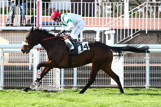 Photo d'arrivée de la course pmu PRIX PREDICATEUR à AUTEUIL le Samedi 14 mars 2020