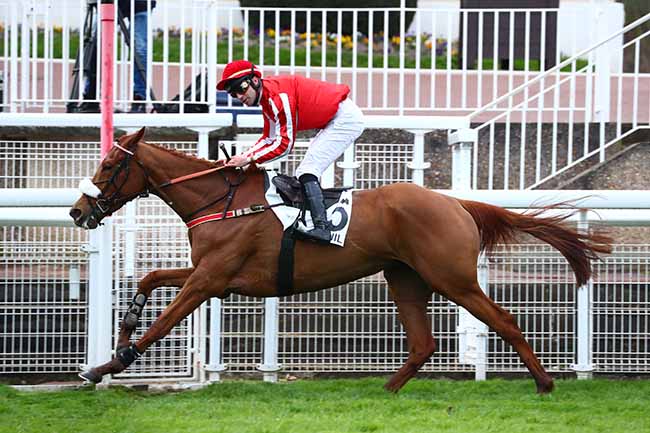 Photo d'arrivée de la course pmu PRIX SAMARITAIN à AUTEUIL le Samedi 14 mars 2020