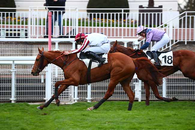 Photo d'arrivée de la course pmu PRIX SIMONIAN à AUTEUIL le Samedi 14 mars 2020