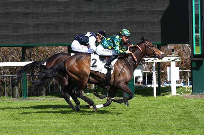 Photo d'arrivée de la course pmu PRIX DU JARDIN DES TOURNEROCHES à SAINT-CLOUD le Dimanche 15 mars 2020