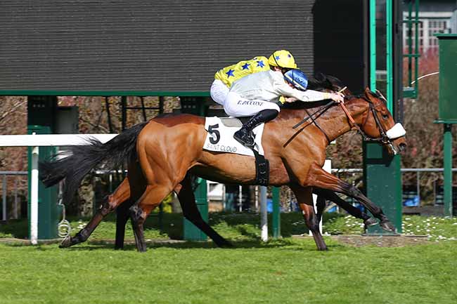 Photo d'arrivée de la course pmu PRIX OMNIUM II à SAINT-CLOUD le Dimanche 15 mars 2020