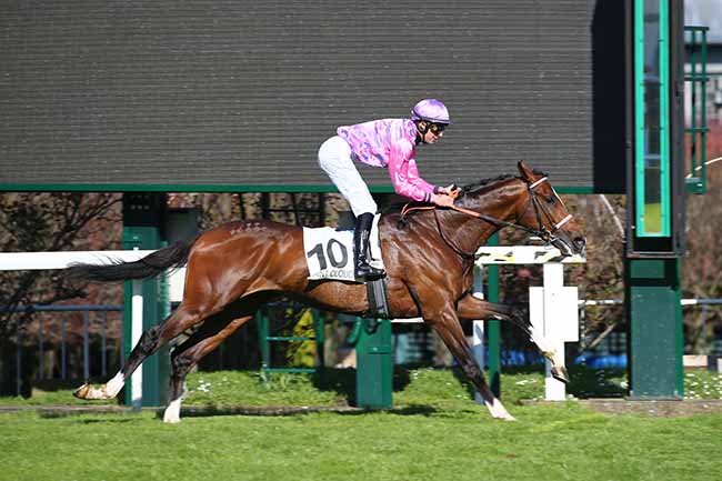 Photo d'arrivée de la course pmu PRIX DE PROVENCE à SAINT-CLOUD le Dimanche 15 mars 2020