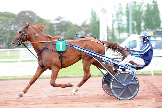 Photo d'arrivée de la course pmu PRIX DE SAINT-PONT à VICHY le Lundi 11 mai 2020