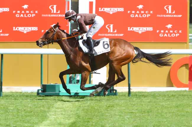 Photo d'arrivée de la course pmu PRIX DU TOTALISATEUR AUTOMATIQUE à LONGCHAMP le Lundi 11 mai 2020
