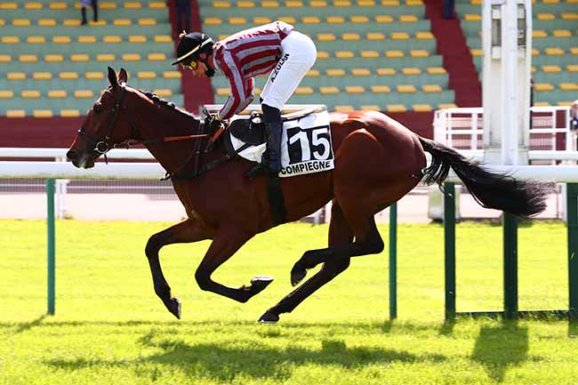Photo d'arrivée de la course pmu PRIX GACKO à COMPIEGNE le Lundi 11 mai 2020