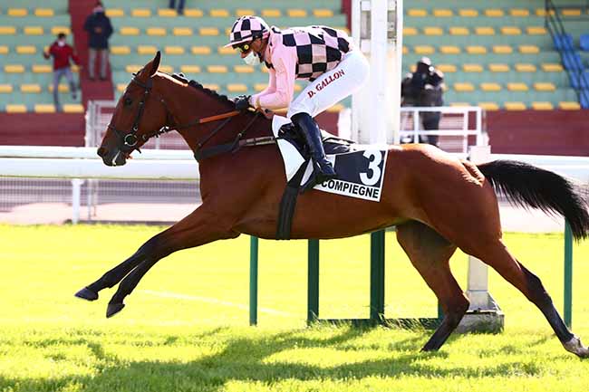Photo d'arrivée de la course pmu PRIX DU GRAND MAITRE à COMPIEGNE le Lundi 11 mai 2020