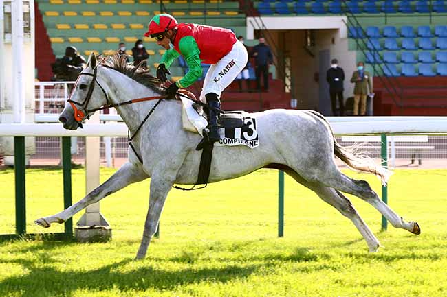 Photo d'arrivée de la course pmu PRIX COLLINS à COMPIEGNE le Lundi 11 mai 2020
