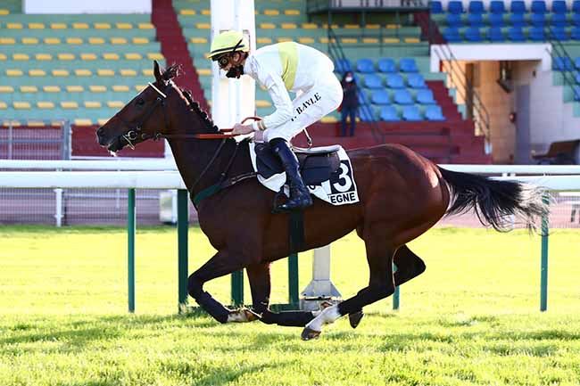 Photo d'arrivée de la course pmu PRIX QUOMODO à COMPIEGNE le Lundi 11 mai 2020