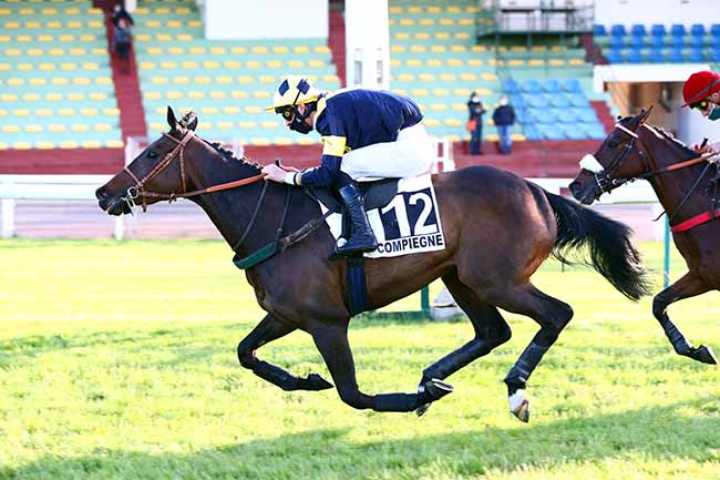 Photo d'arrivée de la course pmu PRIX DE BRISSAC à COMPIEGNE le Lundi 11 mai 2020