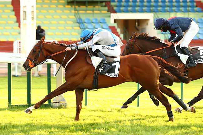 Photo d'arrivée de la course pmu PRIX CLAUDE COHEN (PREMIER PELOTON) à COMPIEGNE le Lundi 11 mai 2020