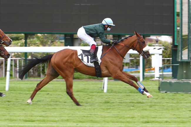 Photo d'arrivée de la course pmu PRIX DE LESCAR à SAINT-CLOUD le Mardi 12 mai 2020