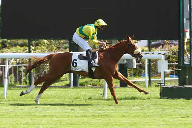 Photo d'arrivée de la course pmu PRIX KEFALIN à SAINT-CLOUD le Mardi 12 mai 2020