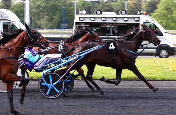 Photo d'arrivée de la course pmu PRIX MURZIM à PARIS-VINCENNES le Mardi 12 mai 2020