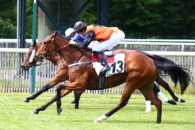 Photo d'arrivée de la course pmu PRIX DE ROSIERES à CHANTILLY le Mercredi 13 mai 2020