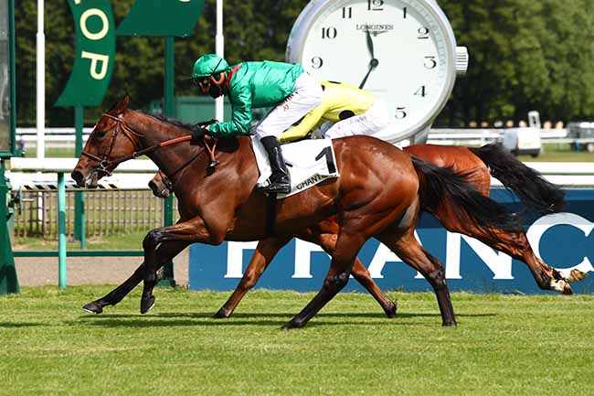 Photo d'arrivée de la course pmu PRIX DE LA PISTOLE à CHANTILLY le Mercredi 13 mai 2020